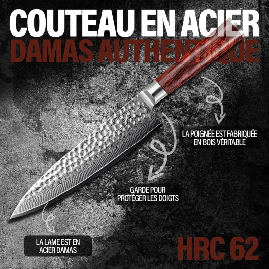 Couteau de Chef Couteau de Cuisine Japonais Gyuto en Acier Damas Inoxydable 67 Couches - Sharp Professional Kitchen Knife - Chef Knife (HRC 62, Bois Padouk) - LIQUIDATION DE STOCK